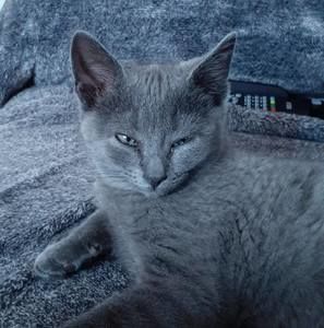 Meet your Posher, Tasha